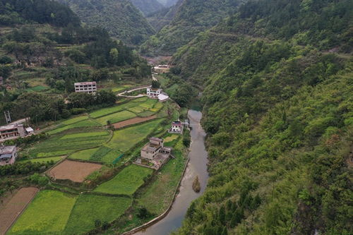 江门水文监测，守护绿水青山的智慧眼睛