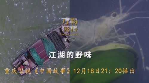 水文监测纪实，守护江河湖库的眼睛