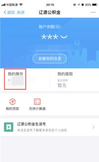 掌握你的公积金账户，如何查询和管理你的公积金账号