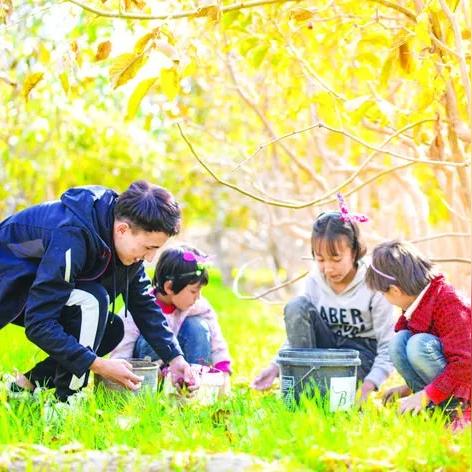 南昌种植什么可致富