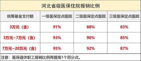 河北医保报销比例及流程