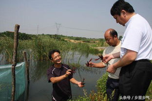 养什么农民能致富