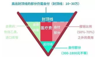 农村医保怎么报销多少？