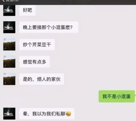 揭秘，如何巧妙地查看父母的聊天记录——一份指南