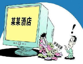 公安查酒店记录，保障公共安全的重要措施