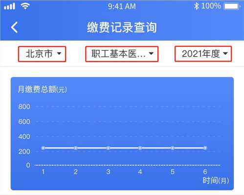 如何查询职工医保缴费情况