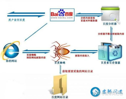 关键词在优化过程中的作用，提升搜索排名与吸引潜在客户的关键要素