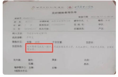 如何查别人酒店记录，违法犯罪问题的警示