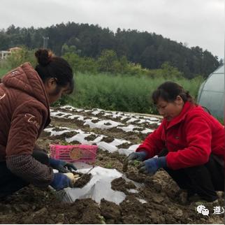 小白致富秘籍，财富之路从这里开始