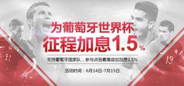 12个高潜力致富项目，让你轻松实现财富增值！