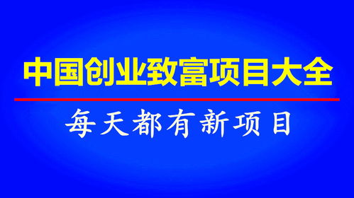 12个高潜力致富项目，让你轻松实现财富增值！