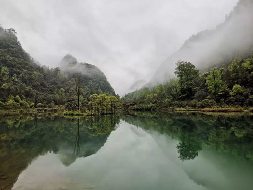 荔波水文监测，守护绿水青山的科技力量