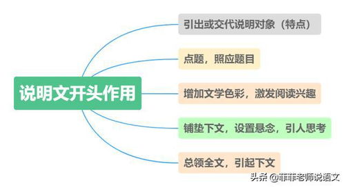 从零开始，赚取五万元的可行路径与策略