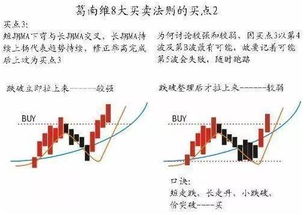 当前市场环境下的赚钱机会，如何在不断变化中寻找盈利点