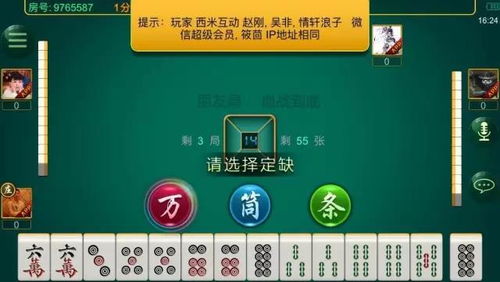 麻将作弊器ios，掌握技巧，拒绝作弊，打造公平公正的麻将游戏体验