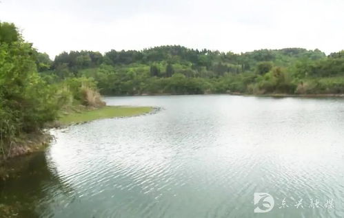 邳州水文监测，守护绿水青山的科技力量