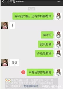 揭秘过去和解的聊天记录查找方法