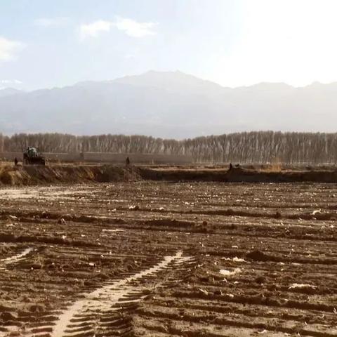 酒泉人靠什么致富