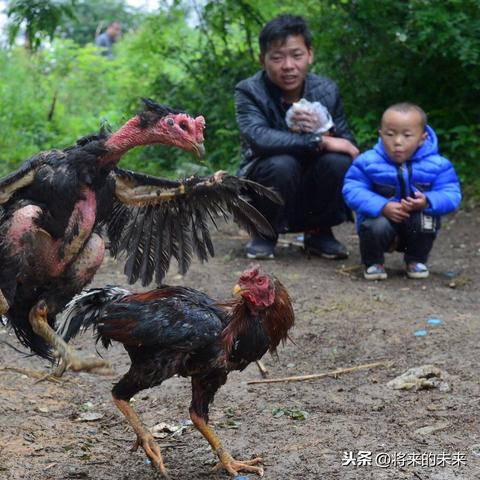 揭秘美容行业，哪个领域才能助你轻松赚钱？