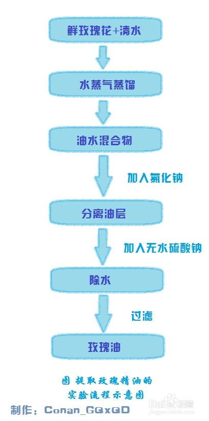 掌握方法，轻松提取公积金——了解办理流程与条件