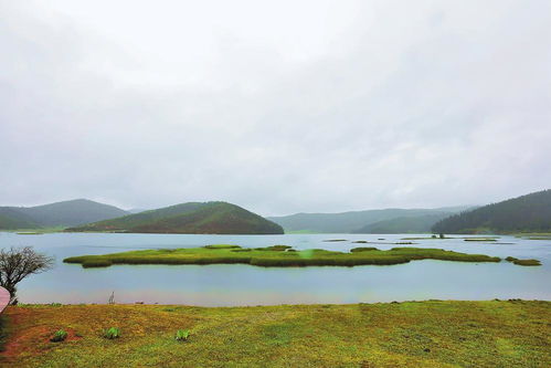 淳安水文监测，守护绿水青山的重要一环