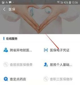 个人续医保怎么交