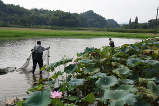 宜兴水文监测，守护绿水青山