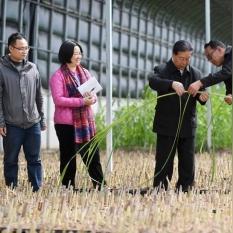 探索致富之路，从贫穷到富有的跨越