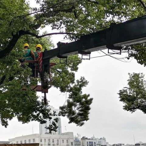 樟树的百度小程序，探索与体验