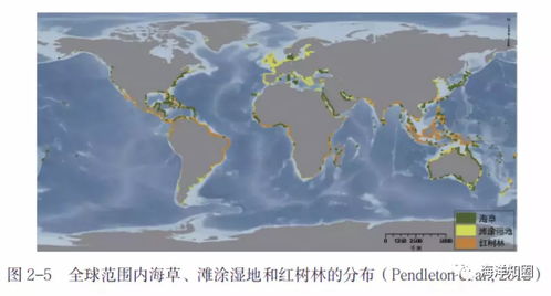 水文潮汐监测，守护海洋的智慧之眼