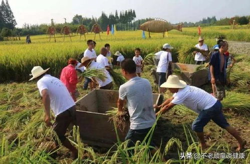 农村种什么能够致富？