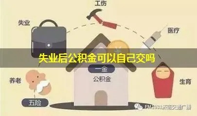 失业后公积金怎么领取？一篇指南帮你解决疑惑