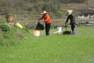 农民可通过什么致富