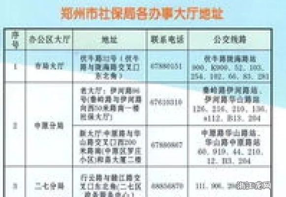 郑州社保公积金扣缴全攻略，了解政策、办理流程及注意事项