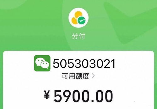 南昌微信分付套出来，一种便捷的生活消费方式