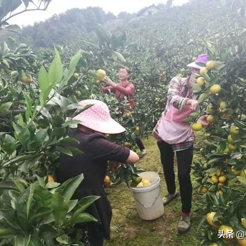 制作微信小程序如何盈利？1200字详解教你轻松赚钱