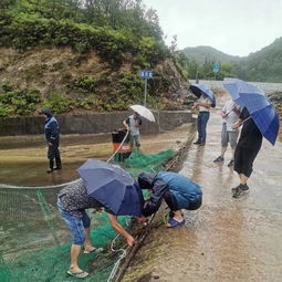 水文站水文监测影响