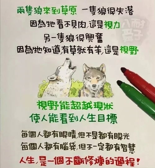 揭穿麻将作弊视频，揭秘麻将作弊黑幕，一场视频揭露的惊天秘密