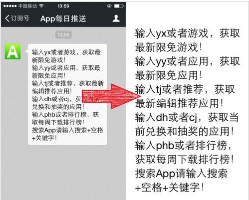 掌握微信日常聊天记录，实用技巧与注意事项