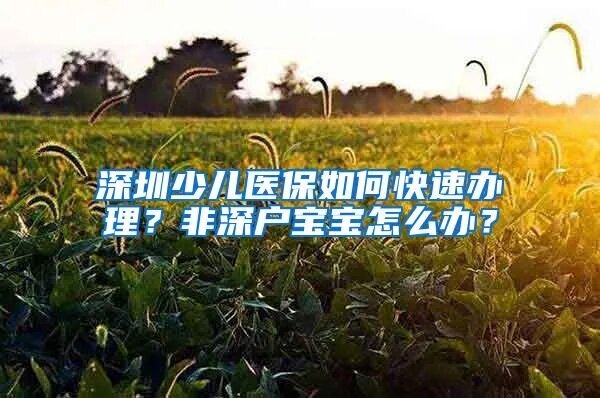 非深户新生儿医保怎么办理