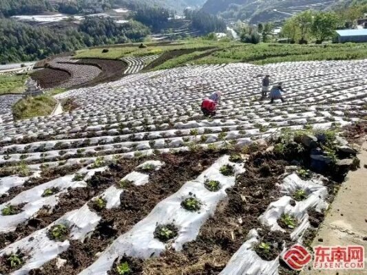 莆田致富，探索生意新机遇