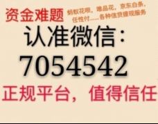 诚意赊额度怎么套出来，月付商家提现攻略，月付商家提现攻略，如何套出诚意赊额度