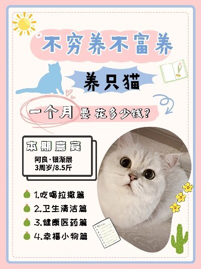 为什么不养猫致富