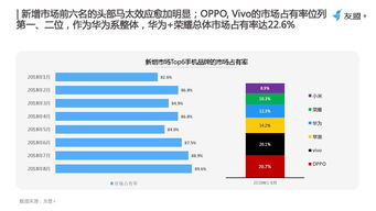 新丰县关键词排名优化公司，助力企业提升品牌知名度与市场份额