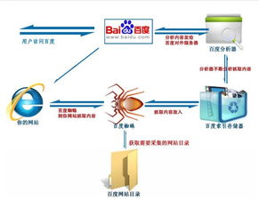 百度蜘蛛小程序，探索与未来