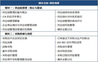 广东关键词排名优化学习，提升企业网站曝光度与竞争力的策略与实践