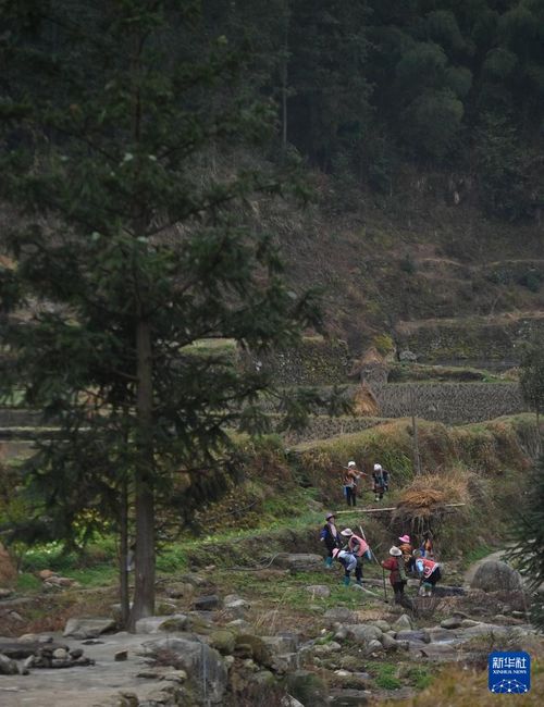 潍坊水文监测种树，守护绿水青山