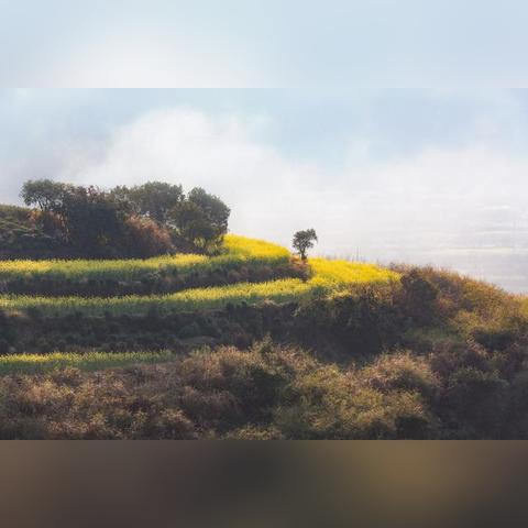 微信小程序用餐体验评价指南