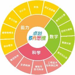 安家致富的路径探索，多元能力与智慧的结合