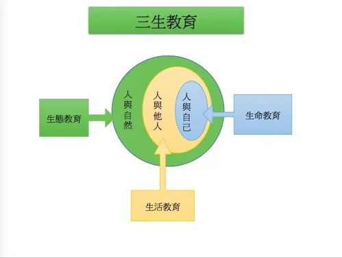 安家致富的路径探索，多元能力与智慧的结合